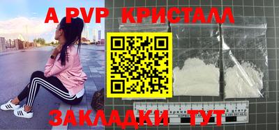 стафф Камышлов
