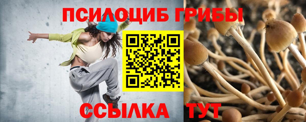 Галлюциногенные грибы GOLDEN TEACHER  Вход с VPN  Псилоцибиновые грибы мицелий  Копейск 